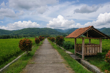 A view of a road in a rice field with a background of hills and small huts. Rural landscape in Indonesia. Travel and environmental photography concept. For graphic design, banners and 3D rendering