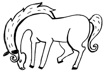 Obraz premium Hand drawn horse illustration in doodle style, grazing horse line art sketch. Hand-drawn pencil sketch of a grazing horse, vectorized line art illustration.