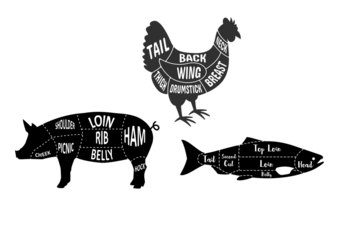 Vintage cartoon vector illustration of a cute hen and rooster farm animal silhouette design with spring flowers and Easter eggs for a nature themed card pattern