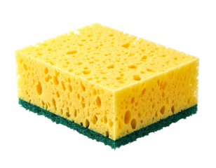 A close-up of a kitchen sponge with a yellow, porous body and a green abrasive pad