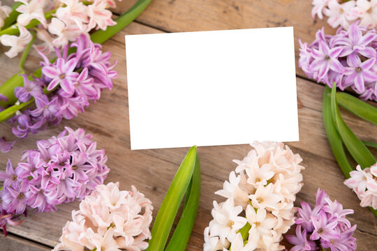 Spring floral Blooming hyacinths background for Easter, Mother's Day, or greeting cards, blank space, Springtime floral arrangement with hyacinths