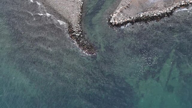 Beautiful ocean waves crashing against coastal rocks with seagulls flying above, featuring clear turquoise blue water and a peaceful natural seascape. Perfect for nature, travel, summer, and relaxatio