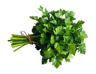 Fresh green herb bunch tied with twine on black background (1)
