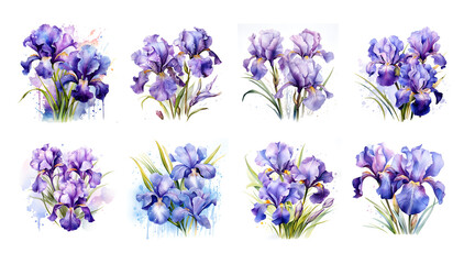 Watercolor violtet iris with gold elements isolated for wedding decoration