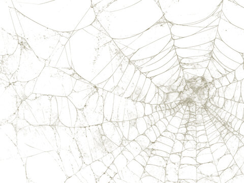 Intricate spider web with dew drops isolated on transparent background