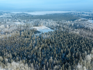 winter landscape with snow © talavietis