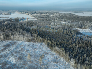 winter landscape with snow covered trees © talavietis