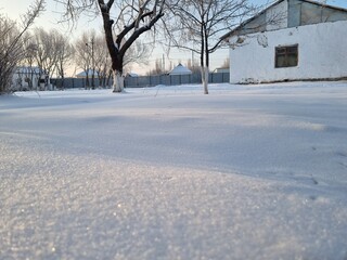 Real photograph of a beautiful winter sunset in a snowy yard with trees, authentic photo, not AI generated