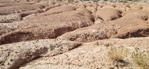 stone wall in the desert of israel