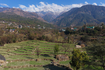 beautiful drone view of  terraced fields in dharamshala, himachal pradesh