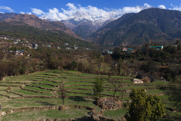 Dhauladhar Range Majesty: An Aerial Perspective of Dharamshala&rsquo;s Terraces