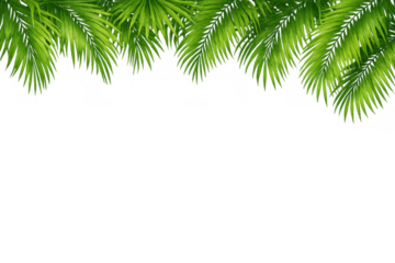 Green palm leaves border on transparent background, tropical summer foliage frame for exotic vacation and nature design
