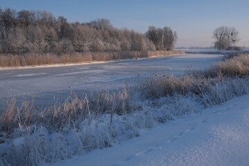 The winter scenery of Zulawy Gdanskie &ndash; the frozen Motlawa and Radunia rivers, frosty reeds and trees, and snow-covered fields. Poland