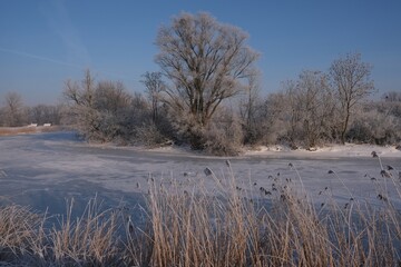 The winter scenery of Zulawy Gdanskie &ndash; the frozen Motlawa and Radunia rivers, frosty reeds and trees, and snow-covered fields. Poland