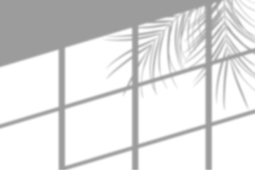 Realistic shadow overlay tropical palm leaf window light shadow isolated on transparent background. Foliage silhouette decoration. Shadow mockup decoration design elements. Summer concept