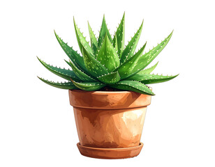 Vibrant potted succulent with pointed green leaves on black background