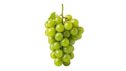 A fresh bunch of green grapes on a white background.