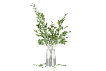 green plant in a glass vase on transparent