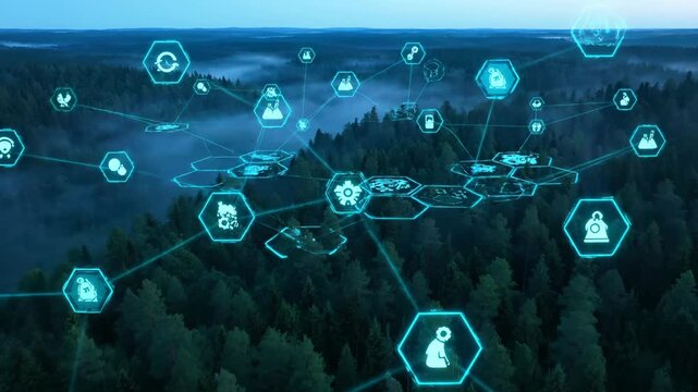 Digital network icons float over forest with technology hexagons connecting trees. Data symbols link above misty woodland. Network technology integrates with forest ecosystem showing digital nature.