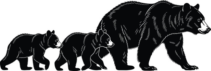 Bear family walking silhouette, mother and cubs wildlife scene, black forest animal vector illustration, isolated white background design © Julfikar