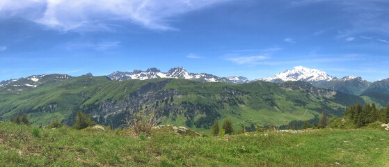 Panoramic view of snowy mountains with lush green fields under a blue sky