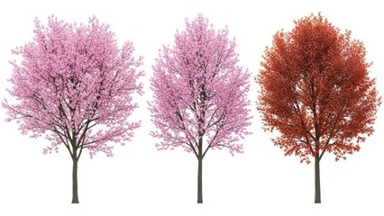 Obraz premium Three stylized trees in full bloom against a white background for creative design