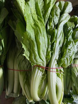 fresh vegetables on market, Fresh vegetable known as green sawi or choy sum sale at the traditional market