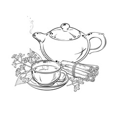 Cinnamon Tea in Teapot aroma beverage Outline Illustration. Vector isolated for Design and Decoration for Cafeteria, Posters, Banners, Cards.