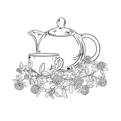 Clove Tea in Teapot aroma beverage Outline Illustration. Vector isolated for Design and Decoration for Cafeteria, Posters, Banners, Cards.