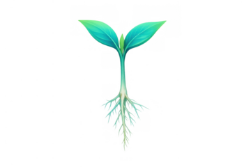 Green seedling with visible roots and cotyledon leaves growing, symbolizing new life, sustainable future, and plant development