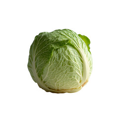 Obraz premium A Highly Detailed close-up of a single crisp and fresh cabbage without background
