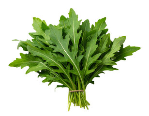 A fresh bundle of vibrant green, serrated-edged leaves bound by a thin rubber band