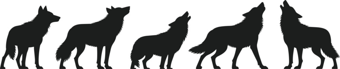 Wolf silhouettes howling in profile, wildlife behavior, nature illustration, black design, minimal art, animal posture, pack communication