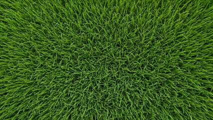 Green grass texture closeup social media thumbnail poster banner download 2026 2027 lawn blades