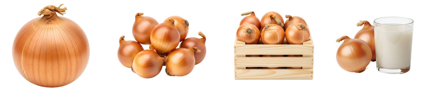 Various yellow onions in different arrangements on transparent background