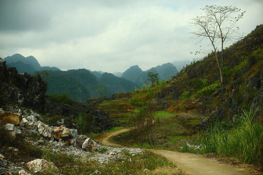 A dirt path winding through rugged karst hills with sparse trees and rocky terrain