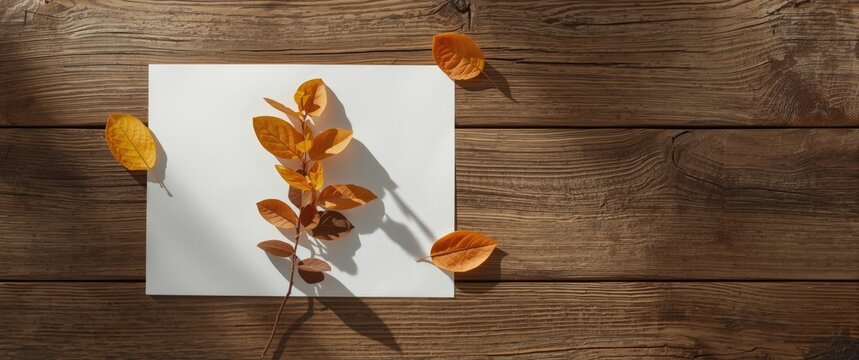 Autumn Scene with Buckthorn (Frangula) on White Paper and Wooden Surface, Copy Space Included