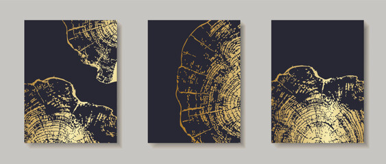 Tree ring patterns on wooden texture backgrounds. Natural wood grain templates with circular trunk cross-sections, featuring tree trunk cross-sections with annual rings for design projects, invitation © Volha