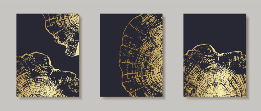 Tree ring patterns on wooden texture backgrounds. Natural wood grain templates with circular trunk cross-sections, featuring tree trunk cross-sections with annual rings for design projects, invitation