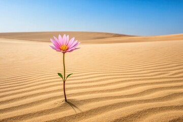 A lone pink flower stands resiliently amidst sand dunes under a clear blue sky, symbolizing beauty and perseverance in a harsh environment.