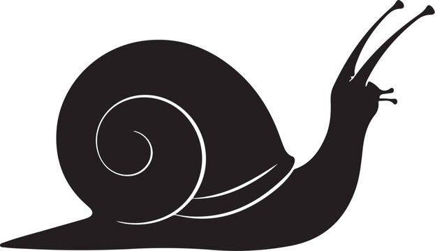 Black silhouette of a snail  vector illustration
