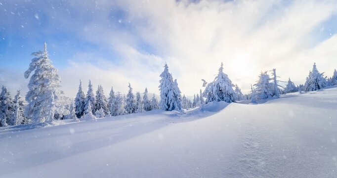 Snowflakes gently falling in slow motion create a peaceful and atmospheric winter scene. Ideal as a winter background or nature-themed visual for motion design and ambient video projects.