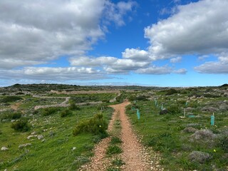 Dirt path leading through green countryside under blue cloudy sky, concept of journey, direction and nature.