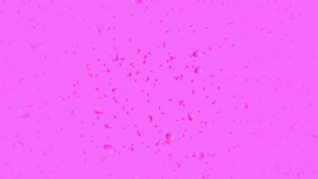 Pink heart shapes being lit up and falling down on pink background. Abstract background for Happy Valentine's day and wedding ceremony.