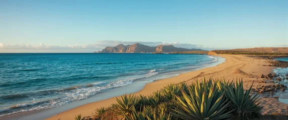 Sierkussen Canarische Eilanden Spain's Lanzarote Beach Scene  © The 2R Artificiality
