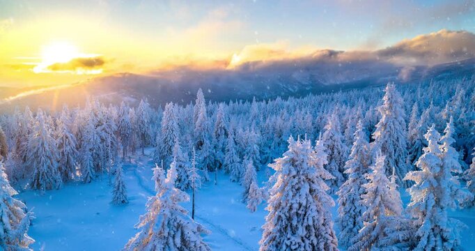 Snowflakes gently falling in slow motion create a peaceful and atmospheric winter scene. Ideal as a winter background or nature-themed visual for motion design and ambient video projects.