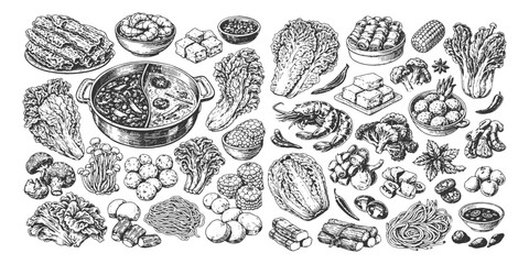 Assorted shabu-shabu and hotpot food ingredients set with meat and vegetables, vintage hand-drawn engraving style vector illustration for restaurant menu.