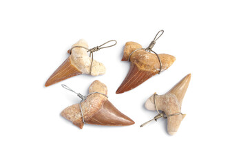 Handcrafted jewelry set of authentic natural prehistoric shark teeth fossils with wire loops for necklace pendants isolated on white background.