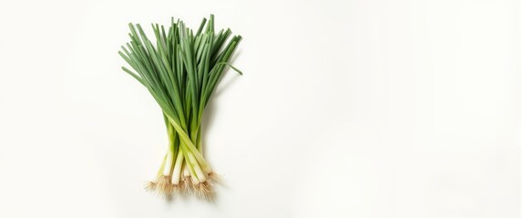 Obraz premium Background with green onion isolated