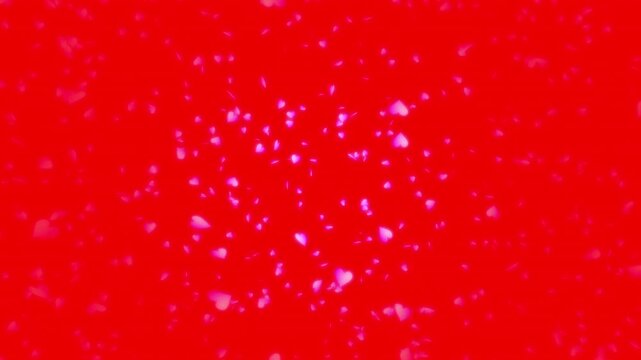 Pink heart shapes being lit up and falling down on red solid background. Abstract background for Happy Valentine's day and wedding ceremony.